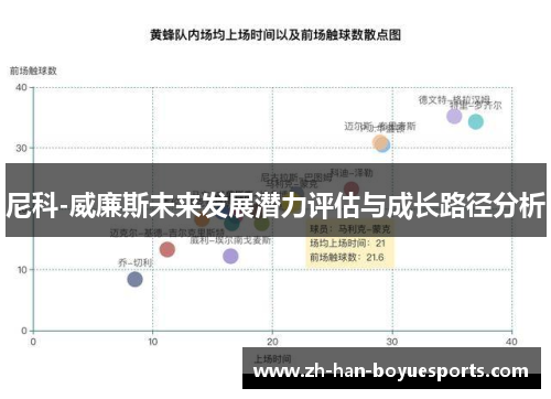 尼科-威廉斯未来发展潜力评估与成长路径分析
