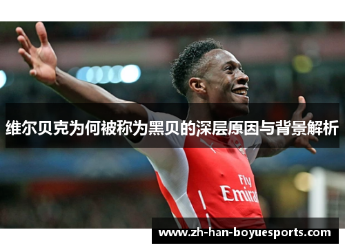 维尔贝克为何被称为黑贝的深层原因与背景解析