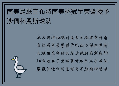 南美足联宣布将南美杯冠军荣誉授予沙佩科恩斯球队