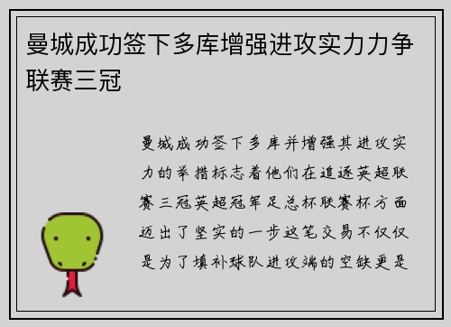 曼城成功签下多库增强进攻实力力争联赛三冠
